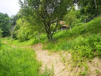 Недвижимость Дом, Маколе, Стари Град: 6