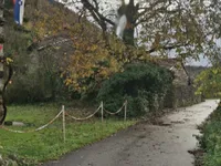 Недвижимость Дом, Гргар: 6