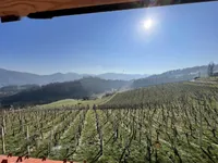 Недвижимость Дом в Бистрице-Сотле: 19