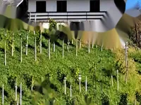 Недвижимость Дом, Грушковец: 3