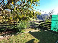 Недвижимость Дом, Грушковец: 6