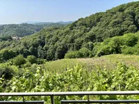 Недвижимость Дом, Бельский Врх: 6