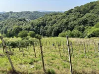 Недвижимость Дом, Бельский Врх: 16