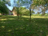 Недвижимость Дом, Мощанци: 2