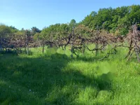 Недвижимость Дом, Мощанци: 6