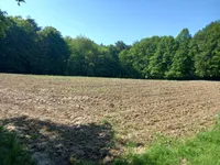 Недвижимость Дом, Мощанци: 7