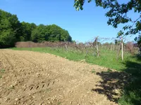 Недвижимость Дом, Мощанци: 8