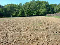 Недвижимость Дом, Мощанци: 9