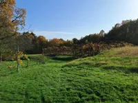 Недвижимость Дом, Мощанци: 11