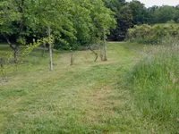 Недвижимость Дом, Мощанци: 12