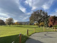 Недвижимость Дом, Чершак.: 12