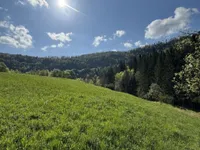 Недвижимость Усадьба Немшки Ровт: 8