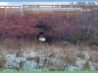 Недвижимость Участок, ферма Накло.: 11