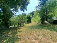 Недвижимость Поместье, ферма Нарапле: 6