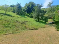 Недвижимость Поместье, ферма Нарапле: 8