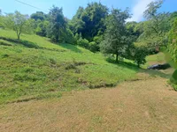 Недвижимость Поместье, ферма Нарапле: 17