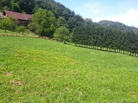 Недвижимость Поместье, ферма Нарапле: 19