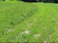 Недвижимость Усадьба, ферма Орехи в Безельском.: 26