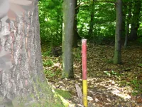 Недвижимость Усадьба Горная Вершина, Планина при Севници: 24