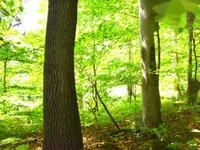 Недвижимость Усадьба Горная Вершина, Планина при Севници: 25