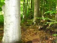 Недвижимость Усадьба Горная Вершина, Планина при Севници: 26