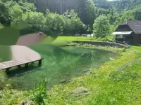 Недвижимость Усадьба, ферма Подкрай при Межице, Межица: 2