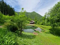 Недвижимость Усадьба, ферма Подкрай при Межице, Межица: 18