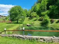 Недвижимость Усадьба, ферма Подкрай при Межице, Межица: 22