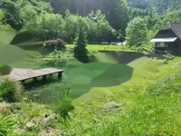 Недвижимость Усадьба, ферма Подкрай при Межице, Межица: 23