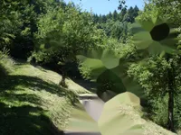 Недвижимость Усадьба, ферма Пребольд.: 5