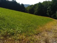 Недвижимость Усадьба, ферма Преша.: 5