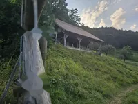 Недвижимость Усадьба, ферма Зрече.: 2