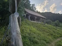 Недвижимость Усадьба, ферма Зрече.: 8