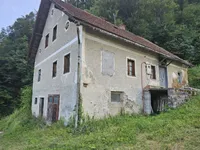 Недвижимость Усадьба, ферма Зрече.: 9