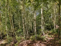 Недвижимость Усадьба, ферма Сеново, Доброва.: 22