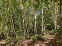 Недвижимость Усадьба, ферма Сеново, Доброва.: 26