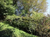 Недвижимость Усадьба Нижняя Воличина: 10