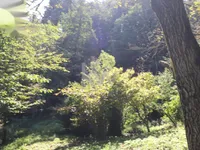 Недвижимость Усадьба Нижняя Воличина: 13