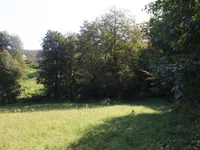 Недвижимость Усадьба Нижняя Воличина: 14