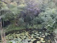 Недвижимость Усадьба Нижняя Воличина: 16