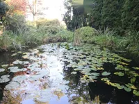 Недвижимость Усадьба Нижняя Воличина: 19