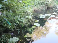 Недвижимость Усадьба Нижняя Воличина: 20