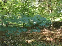 Недвижимость Усадьба Нижняя Воличина: 22