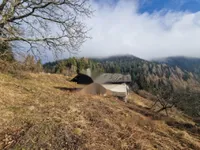 Недвижимость Поместье, ферма Святого Ернея над Мутой: 8