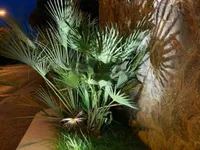 Недвижимость Дом в центре Опатии: 6