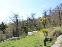 Недвижимость Семейный дом Вепринац: 10