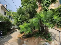 Недвижимость Вторая квартира, Центр Опатии: 23