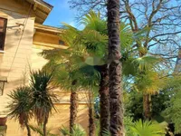 Недвижимость Квартира Опатия Центр: 6