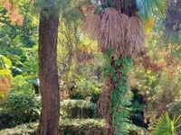 Недвижимость Квартира Опатия Центр: 9