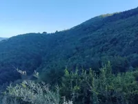 Недвижимость Семейный дом в Опатии: 15